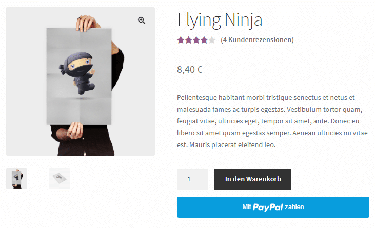 Der neue PayPal PLUS-Express-Checkout-Button ist komfortabel