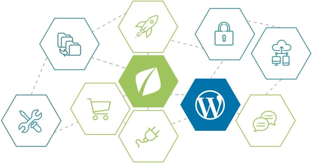 WordPress Agentur