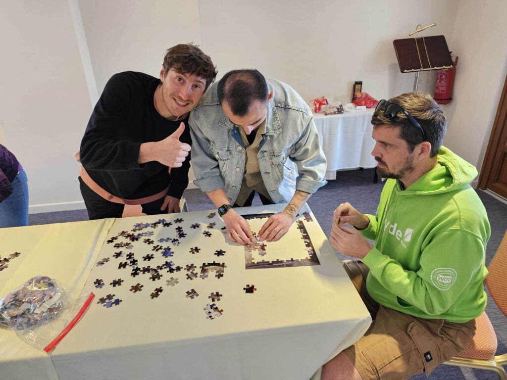 3 Syders Puzzling