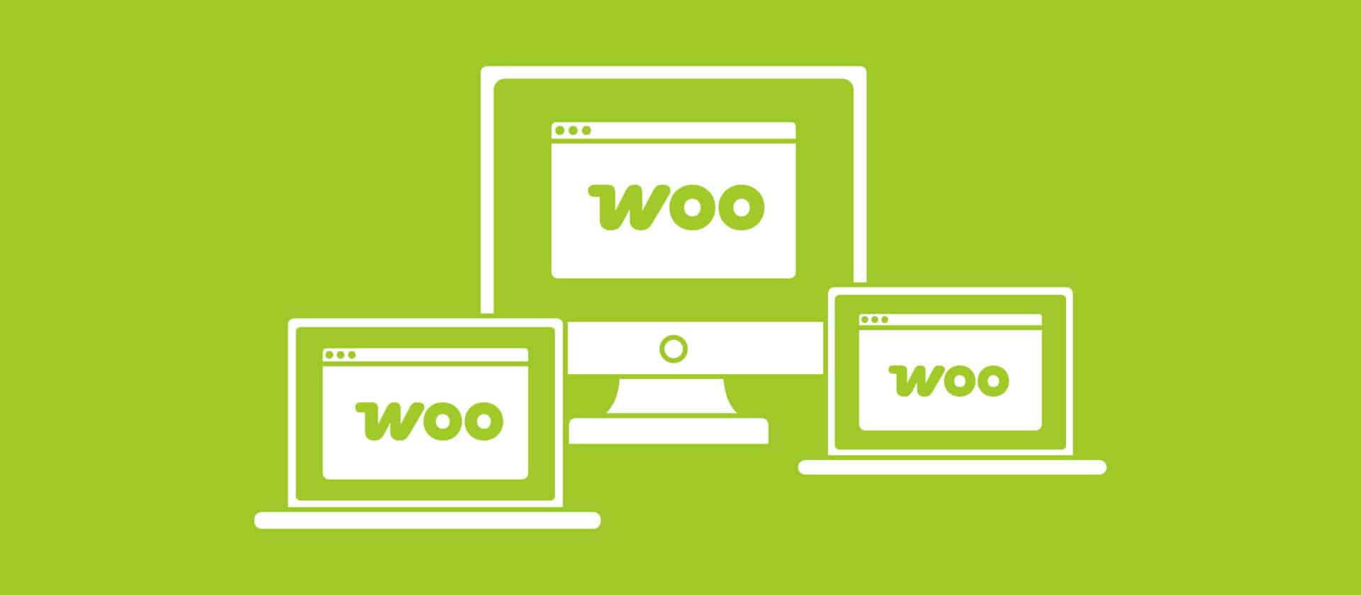Computers with the Woo logo on the screen.